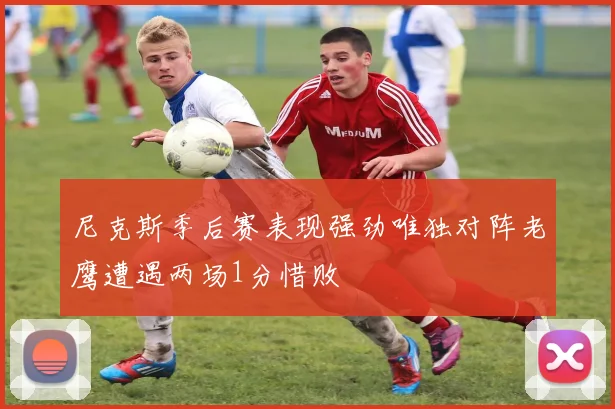 尼克斯季后赛表现强劲唯独对阵老鹰遭遇两场1分惜败