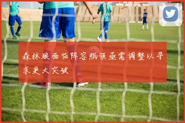 森林狼面临阵容瓶颈亟需调整以寻求更大突破
